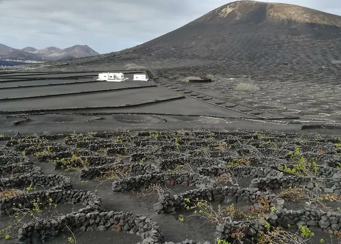 Papaya Playa Blanca (Lanzarote)