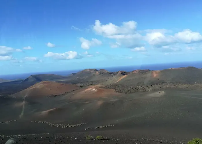 Papaya * Playa Blanca (Lanzarote)
