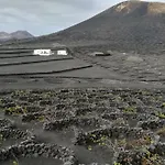 Papaya Playa Blanca (Lanzarote)